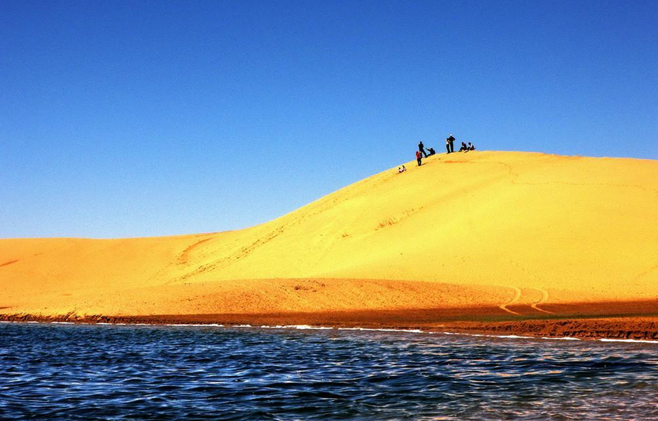 金子海